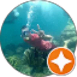 Review From fauzan bawa hoki