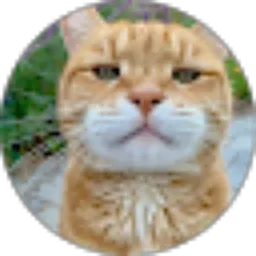 Review From Kucing Meong