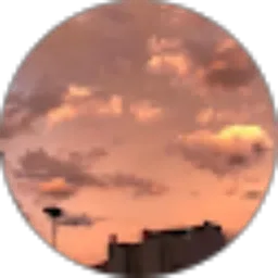 Review From Syaqifa Adisti Arsy