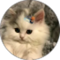 Review From Salwa kamilah yahya