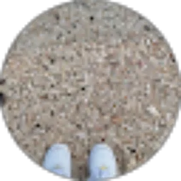 Review From Diandra Hafizza