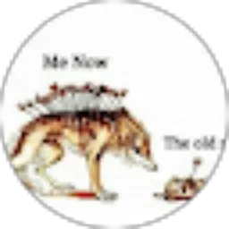 Review From Lia Agnesia