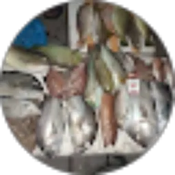 Review From subas putra