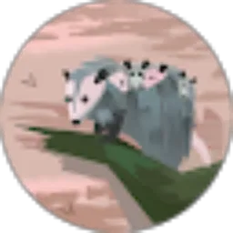 Review From Elina Shasa