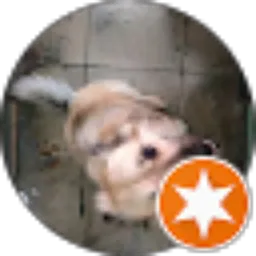 Review From Stefany PS