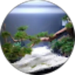 Review From dimas adi