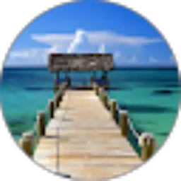 Review From lely Nasution