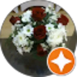 Review From Fiqih Dewi