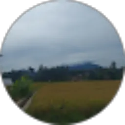 Review From sofyan lubis