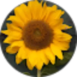 Review From Eva Moenisa