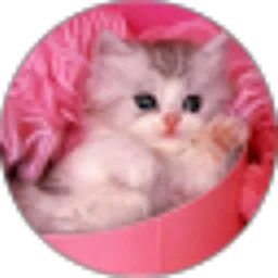 Review From maryani yani