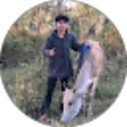 Review From Muh Taufik