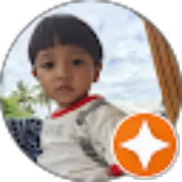 Review From Desi Sudirman