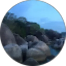 Review From Mohammad Agus