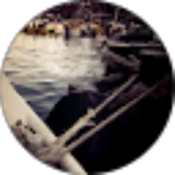 Review From Alwin Sudibyo