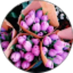 Review From venny epilia