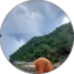 Review From Cut Mahara