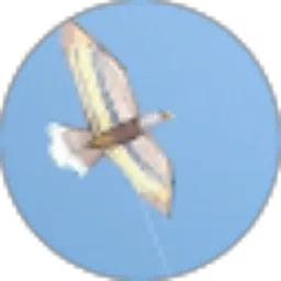 Review From Blue Paint