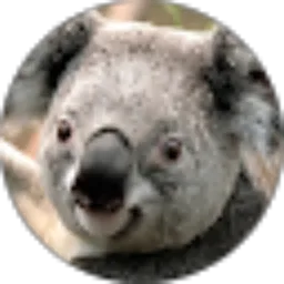 Review From Andre AMD