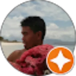 Review From Vinsensius Muktar