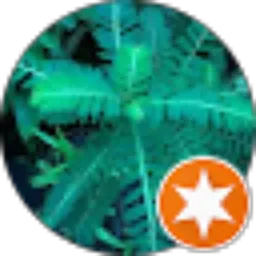 Review From Dipo Rangen