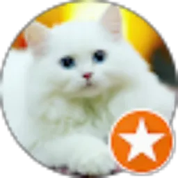 Review From Rina Elfha Magisa