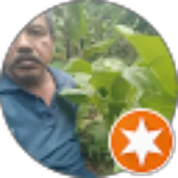 Review From Agung Podol