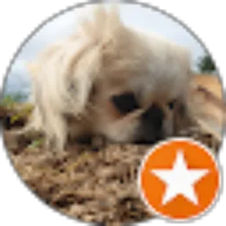 Review From Catherina Cath