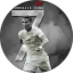 Review From Rexy Tanujaya