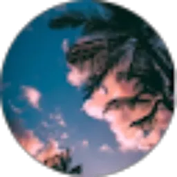 Review From Dasmaka 65