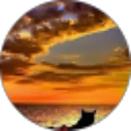 Review From Ujang Aja