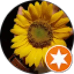 Review From Kartika Soetardi