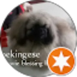 Review From Chowie Rock