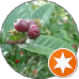 Review From evi novita