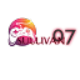 Review From SULLIVAN 07