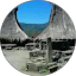 Review From Ferdi “ERDIN” Weki