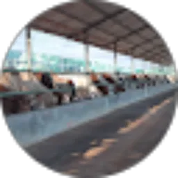 Review From mahmudi mba