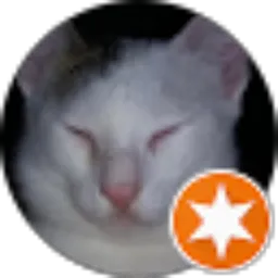 Review From s raohun