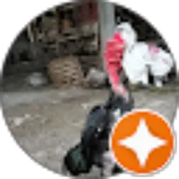 Review From adi yanto