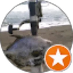 Review From andi j rahmawan