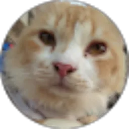 Review From Rosa Linda