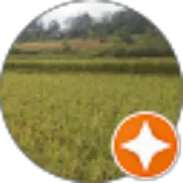 Review From Wendi Kurniawan