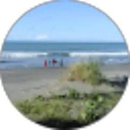 Review From jufri Vikri wenas