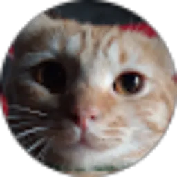 Review From Nesya Ellyka