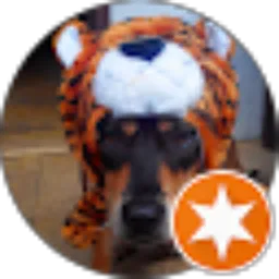 Review From pongky234