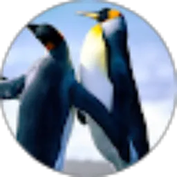 Review From Gopek Telu