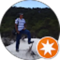 Review From Nageeb M. S. Halawy