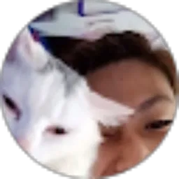 Review From vialdi wijayaa