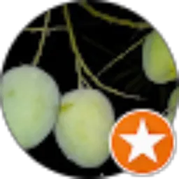 Review From muhammad fadil