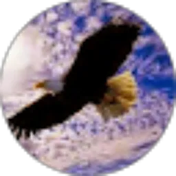 Review From Moh. Rizal